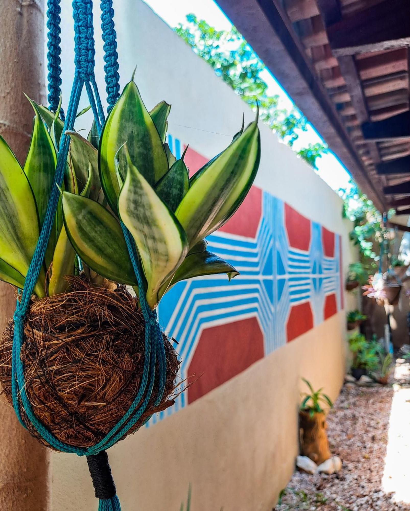 Savana Hostel São Jorge Zewnętrze zdjęcie